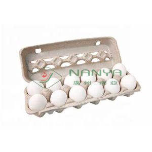 Automatic Pulp Molding Equipment / Rotary Recycle Paper Egg Tray Manufacturing
