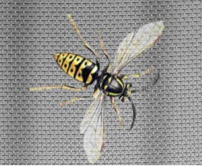 Buy cheap Stainless Steel Window Screen factory from wholesalers