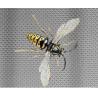 Buy cheap Stainless Steel Window Screen from wholesalers