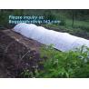Buy cheap high quality PP nonwoven fabric agriculture Cover Non Woven Fabric agriculture fabric plant cover fruit bags, bagease from wholesalers