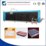 Multi Station Automatic Thermoforming Machine For Making Take Away Food