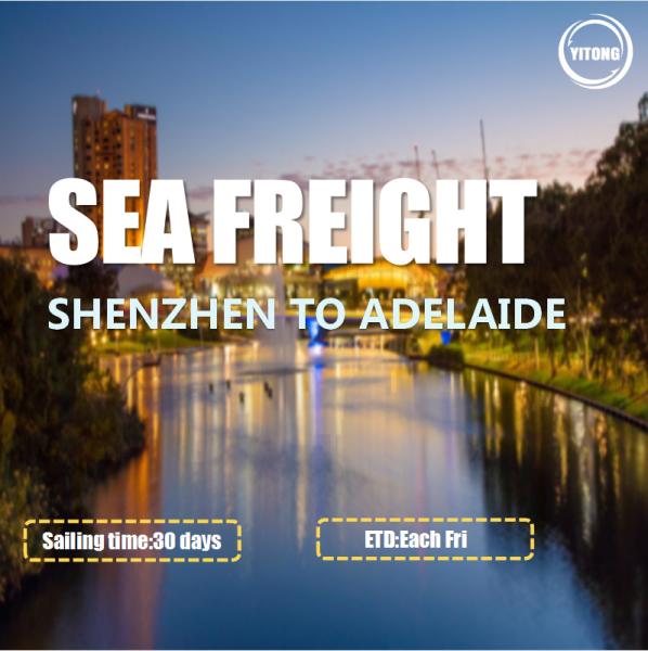 Buy cheap International Sea Freight Shipping Shenzhen To Adelaide from wholesalers