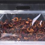 clear plastic Snack Zipper bag eight sides seal Zipper Block Square Flat Bottom