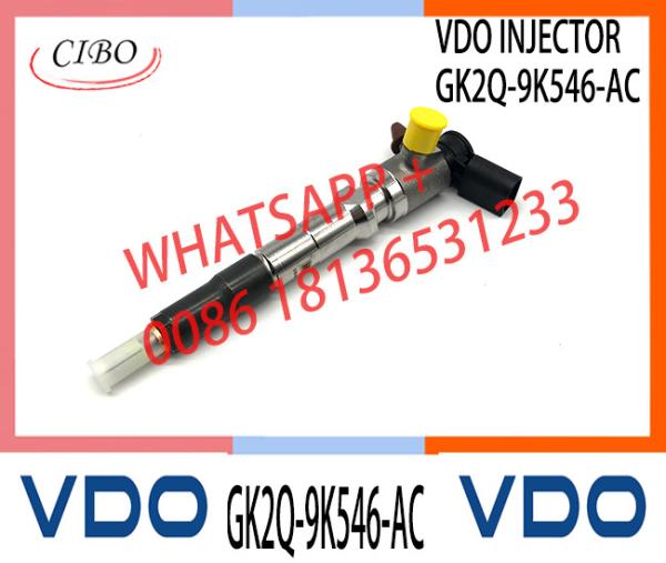 Common Rail Fuel Injector 2143478 GK2Q9K546AB GK2Q9K546AC A2C9303500080 GK2Q