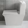 Buy cheap One Piece Siphon Flush Toilet Soft Closed Toilet Seat 3.7L from wholesalers