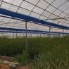 Buy cheap US Cocopeat Soil for Vegetable Growing in Commercial Greenhouse Sustainable Farming from wholesalers
