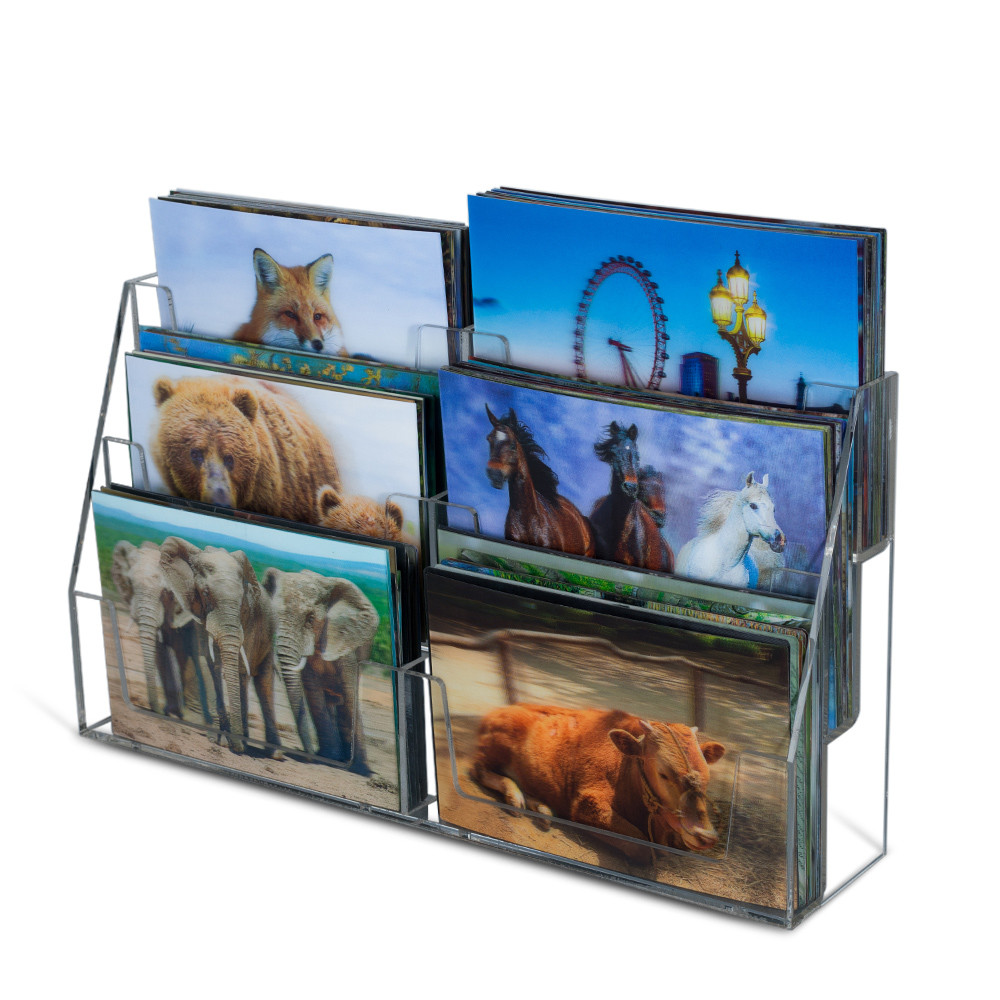 Brown Bear In Alaska Lenticular Card Souvenir Gift Card For Tourist 3d Postcards