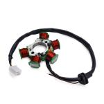 TVS-5 Magnet Motor Stator Coil New Condition Plastic Ignition Coil for