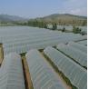 Buy cheap Virgin HDPE Anti Insect Netting 110 Gsm Weight 8 Meters 3 - 10 Yeares Using Life from wholesalers