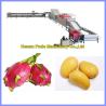 Buy cheap dragon fruit cleaning and sorting machine from wholesalers