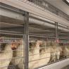 Buy cheap Poultry Farming galvanized Egg Layer Chicken Cage For 5000 Birds from wholesalers