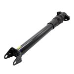 Benz W251 R Class Rear Air Suspension Shock Absorber 2513202131 2513202231