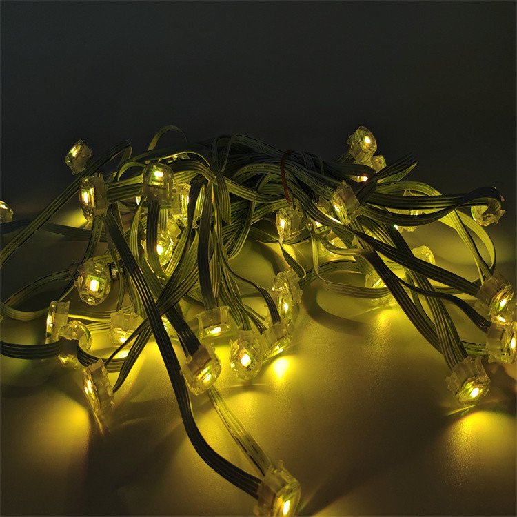 Dimmable 24V RGBW LED Eaves Lights The Perfect Outdoor Christmas Lighting Solution