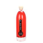 Stocked Clear Crystal Fruit Water Bottle , Cocktail / Wine Drinking Glass Bottle