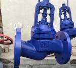 DIN bellows flanged cast iron globe valve