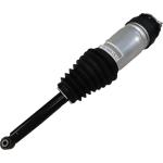Tesla Model S 2016-2019 Rear Air Spring Strut Shock Absorber RWD 1067466-00-C