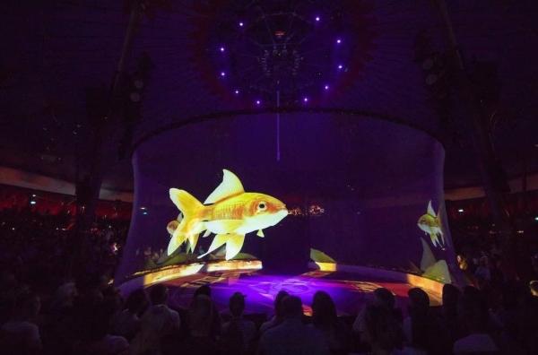 Buy cheap Invisible Hologram Projector Screen Polyamide Material Fireproof Seamless 30m Length from wholesalers