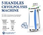 4 in 1 technology best selling effective china cryolipolysis