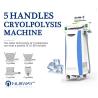 Buy cheap Best price effective 10.4 inch touch color screen cryolipolysis fat freeze slimming machine from wholesalers