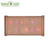 Buy cheap Aluminum Horticulture 240W LED Quantum Board Grow Light Full Spectrum from wholesalers