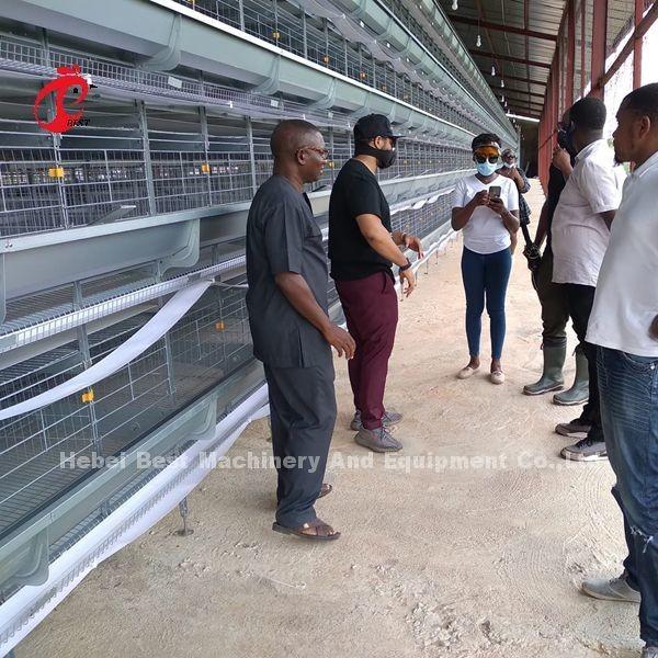 H Type Layer Battery Cage System 4 Rows Layer Poultry Farm Equipment CE Approval