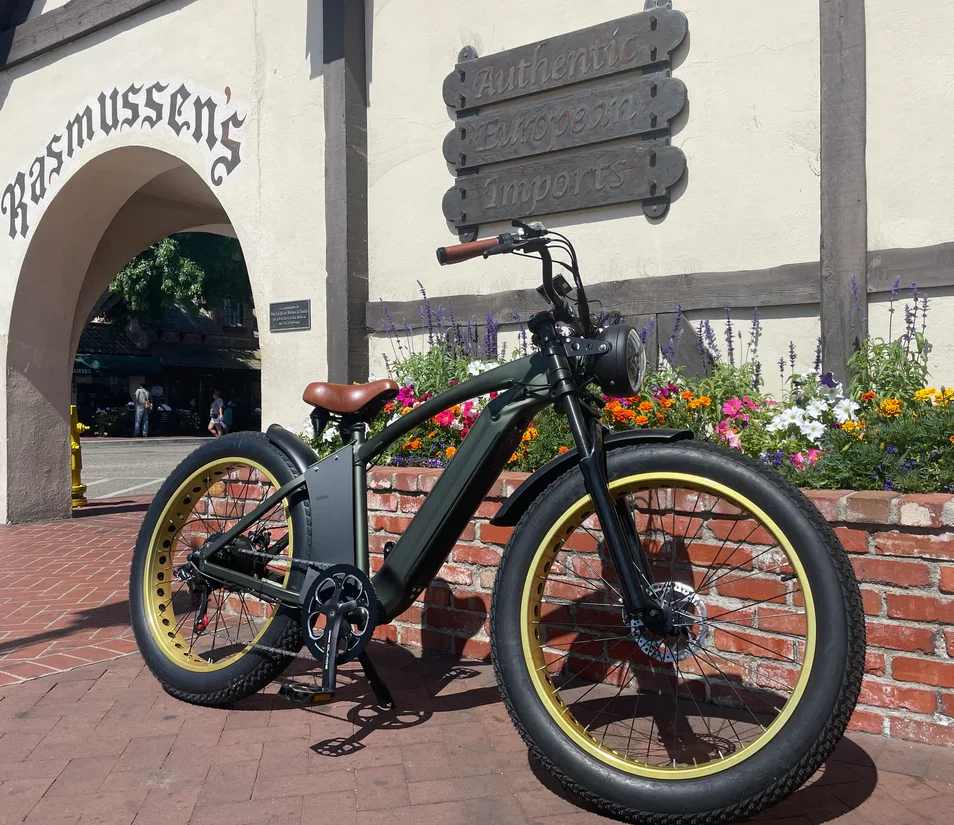 Long Range Beach Cruiser Electric Bike 48V 750W 26 Inch Fat Tire Ebike Beach Cruiser