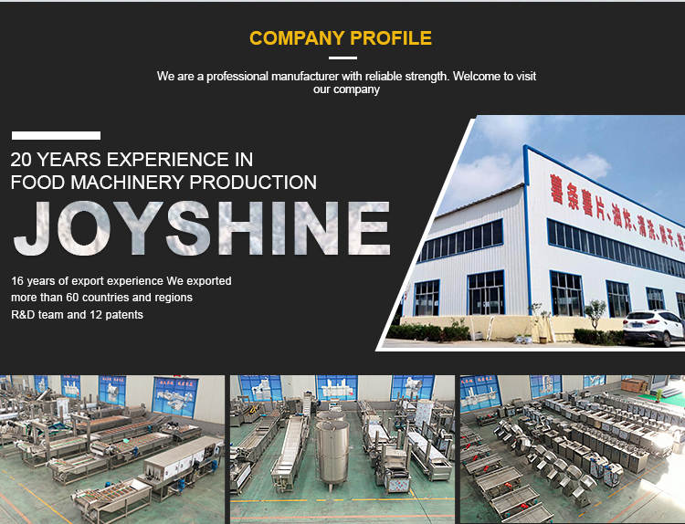 Frozen Fries Processing Plant with Easy-to-Operate Fried Potato Chips Production Line