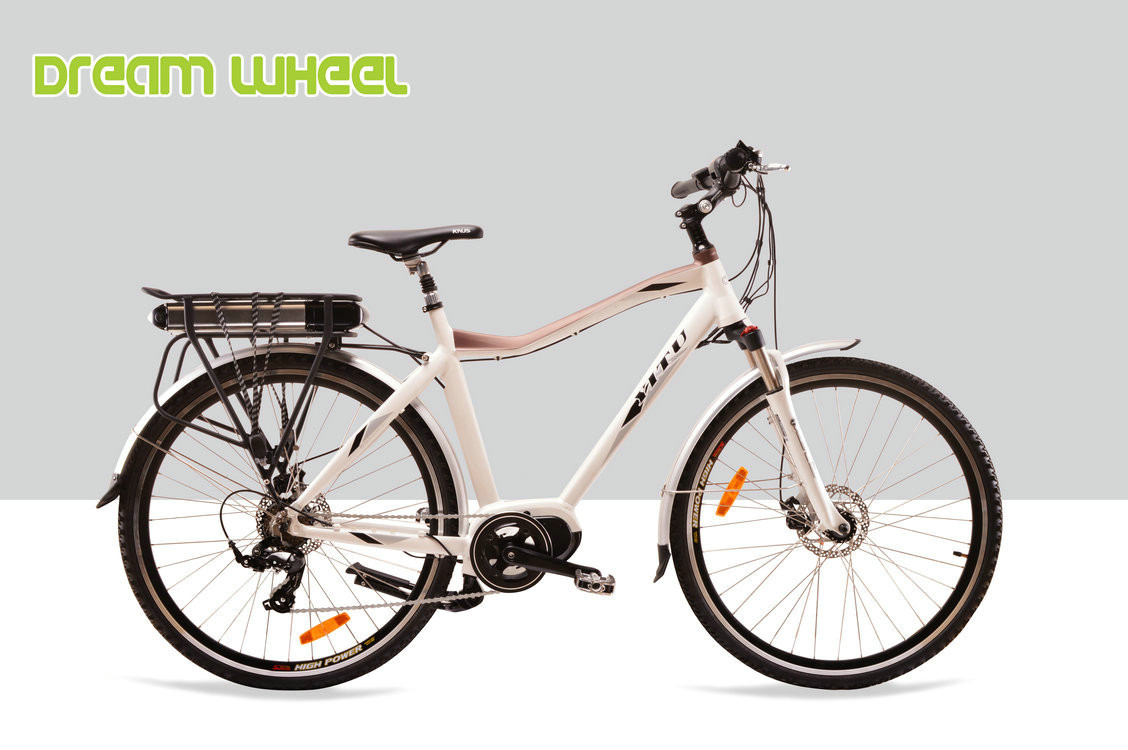 Electric Powered Mid Motor Electric Mountain Bike 10.4Ah Shimano RD-TX55