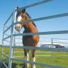 Buy cheap 22 Panel Horse Yards Inc Gate,Horse Arenas, Cattle Fences, Corral, 15m Diameter from wholesalers