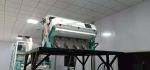 Intelligent Multifunction Green Coffee Bean Color Sorter Machine Beans Color