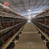 Buy cheap Long Time Use Hot Galvanized Broiler Chicken Cage 17 Chicks / Cell from wholesalers