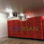 China Walk in Freezer Cooler/Chiller/Cold Storage Room Warehouse Price for Sale