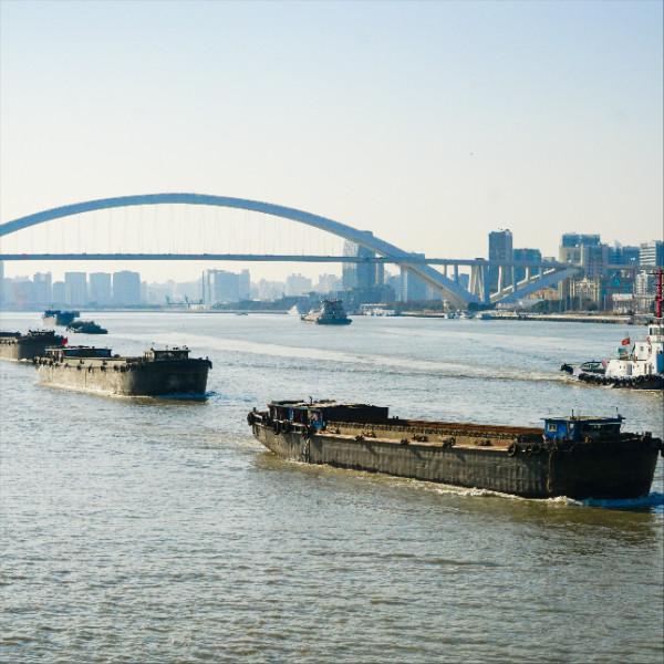 Buy cheap Logistics Ddu Ddp Sea Freight Forwarding Services From China To South Korea from wholesalers