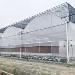 Buy cheap Hydroponic Growing Systems Greenhouse Low Cost Greenhouse Agriculture Plastic from wholesalers