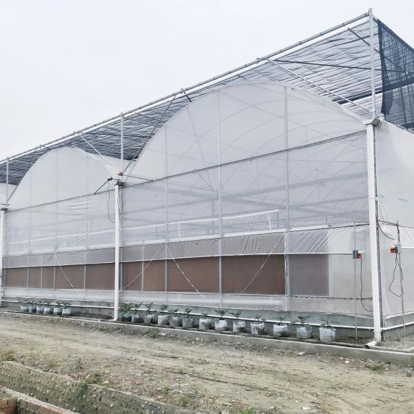 Buy cheap Hydroponic Growing Systems Greenhouse Low Cost Greenhouse Agriculture Plastic Greenhouse from wholesalers