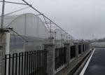 Buy cheap Agricultural Hydroponic Venlo Glass Greenhouse High Efficiency Energy Saving from wholesalers