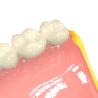 Buy cheap Denture Bases Biocompatible 3d Resin Pink Dental 3d Printing Resin from wholesalers
