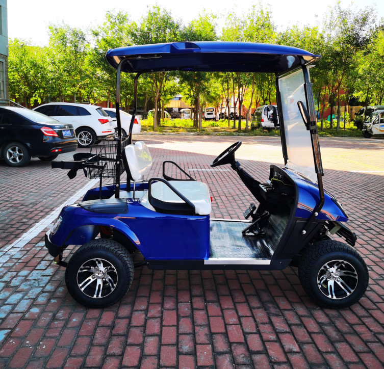 Export EV 2 Seater Golf Cart 48V 3.5KW AC System Good Quality Golf Trolley