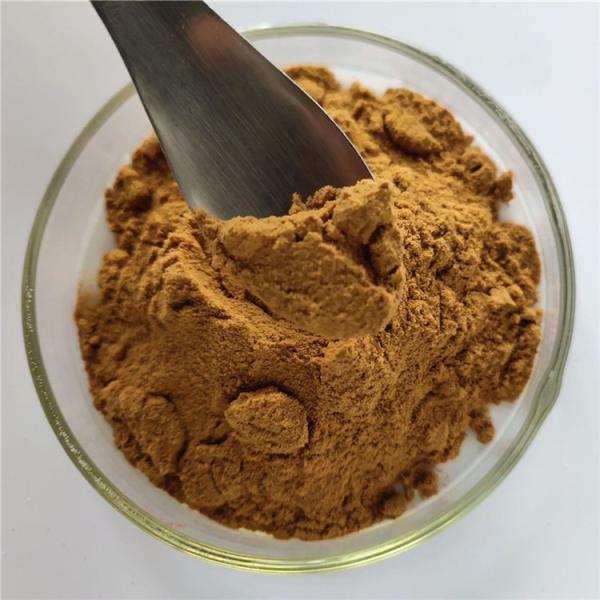 Buy cheap China Wholesale Best Selling Products Oregano Extract from wholesalers