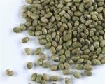 Semi Soft Roasted Bean Snacks Salted Green Pea Roasted Edamame Snack