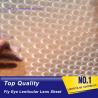 Buy cheap PLASTIC LENTICULAR 3d fly-eye plastic sheet material Spherical lenticular grating from wholesalers