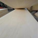 Surface Sanded Smooth Paulownia Lumber Prices for Natural Color House Decoration