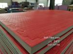 Puzzle Martial Arts Mat Judo Mat Taekwondo Mat Tatami Tatami 4CM EVA