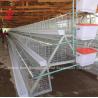 Buy cheap 96 Birds And 120 Birds Chicken Battery Cage For Sale Star from wholesalers