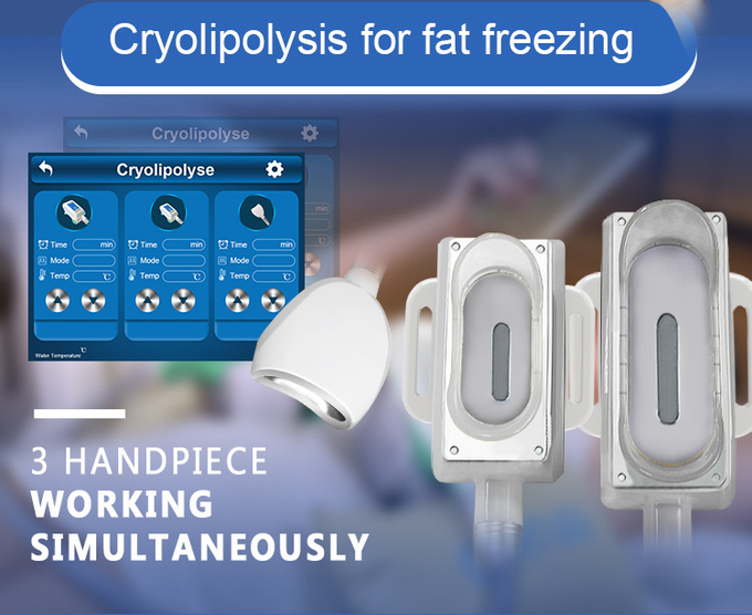 No-Invasive Cryolipolysis Slimming Machine with Unique 360° Cooling & Pain Relief Shock Wave Handle