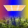 Buy cheap AC100V 600W Hydroponic Led Grow Lights Samsung Lm301b Led Herb Grow Light from wholesalers