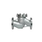 Flanged Lift Check Valve Silver Stainless Steel 304 316 316L PN16 PN25 PN40 PN64