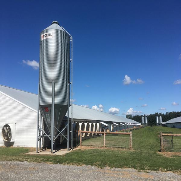 Buy cheap Modern Long Span Steel Construction Building High Capacity Prefabricated Poultry House from wholesalers