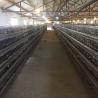 Buy cheap 9.5mm Dia 2 Doors Quail Battery Cages , 1300 * 450 * 250mm Quail Egg Cage from wholesalers