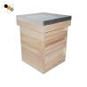 Buy cheap Galvanized Lid 20mm Thickness Fir Unassembled Bee Hive from wholesalers